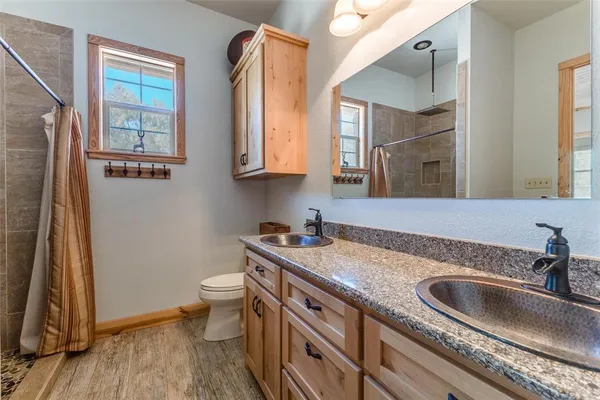 a bathroom with a sink and a toilet