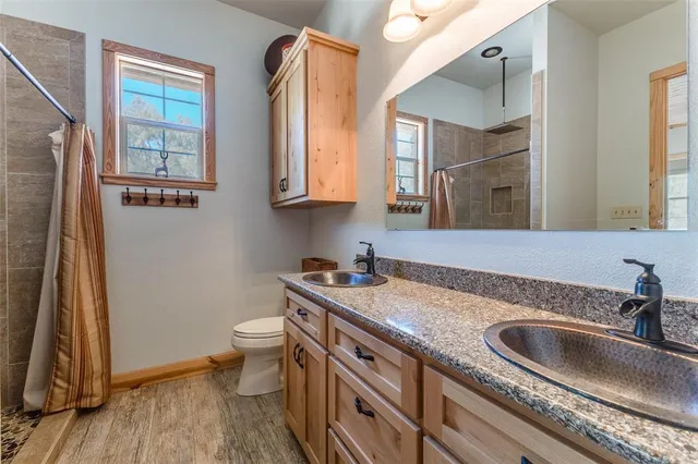 a bathroom with a sink and a toilet