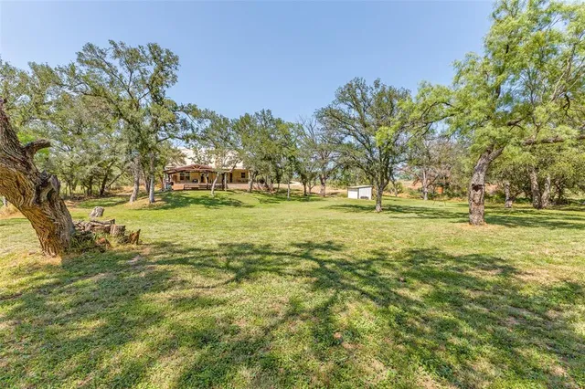a view of a trees with a big yard