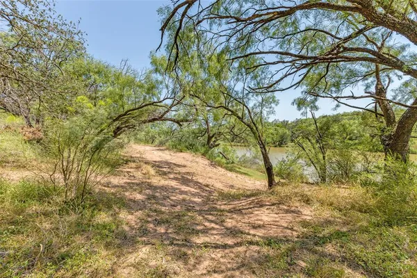 a backyard of a house with lots of trees
