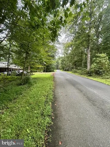 a view of a field with plants and trees