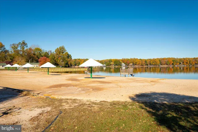 a view of swimming pool with lawn chairs and plants