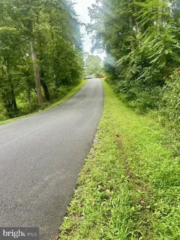 a view of a yard with plants