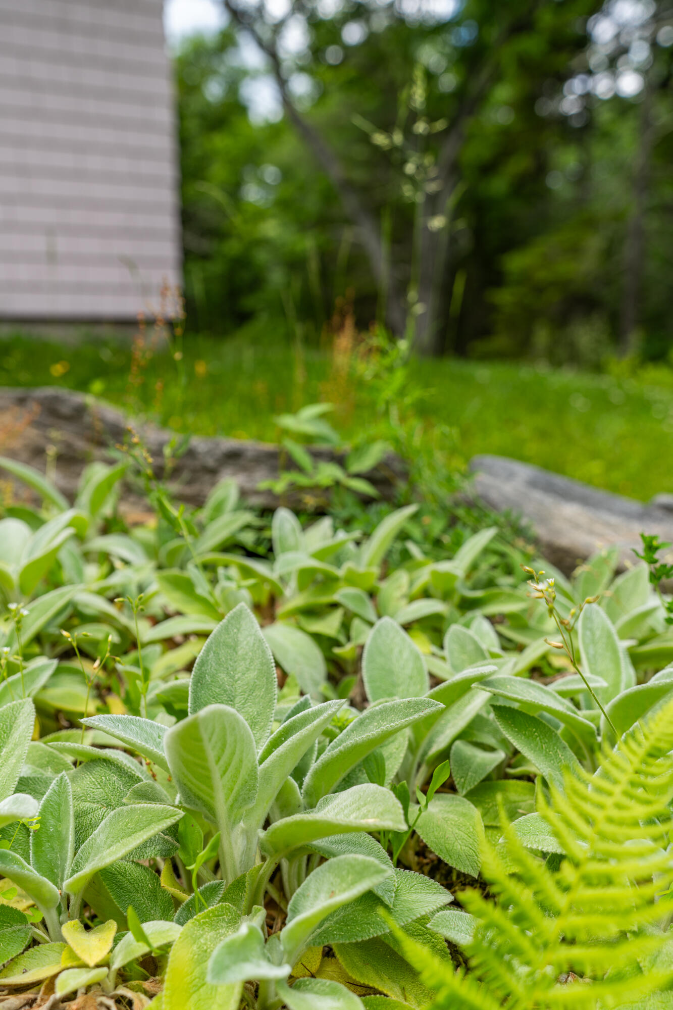 52 Oak Run Road Westport Island, ME 04578 - Photo 157 of 200