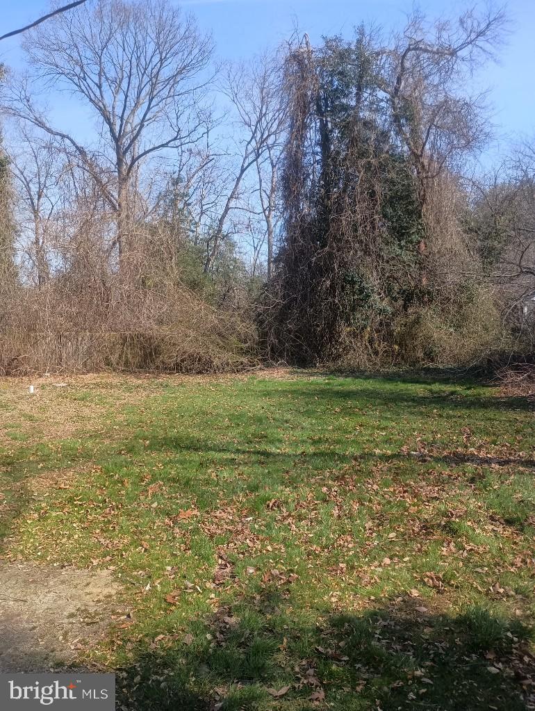 138 Jute Road Millville, NJ 08332 - Photo 11 of 12 a view of a field with an trees