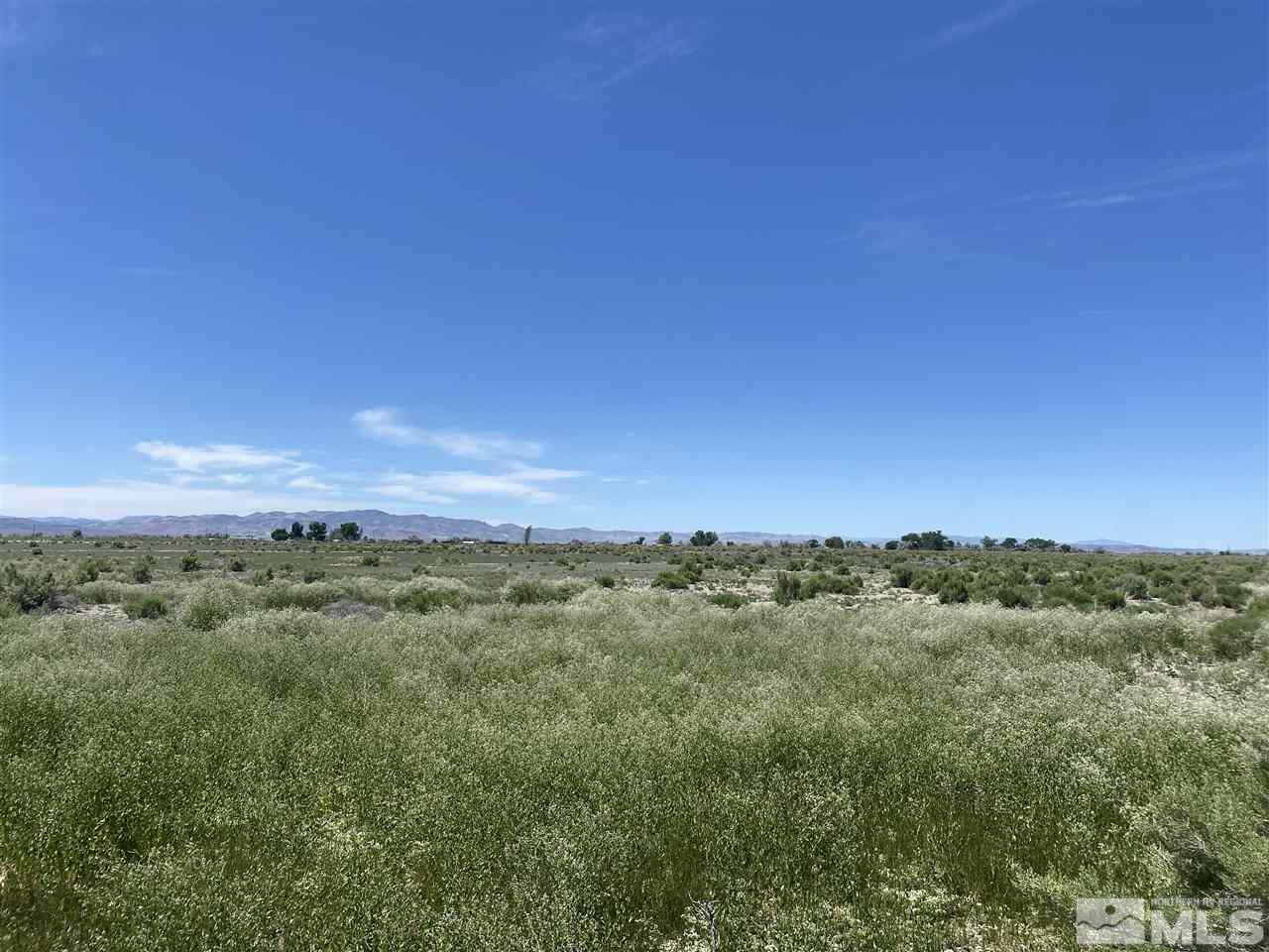 Off Of Depp Road Fallon, NV 89406 - Photo 1 of 4 Photo 1