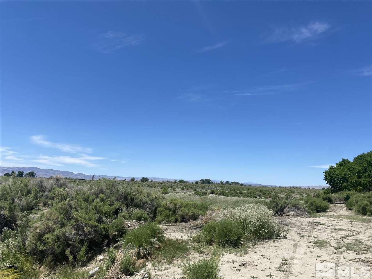 Off Of Depp Road Fallon, NV 89406 - Photo 3 of 4 Photo 3