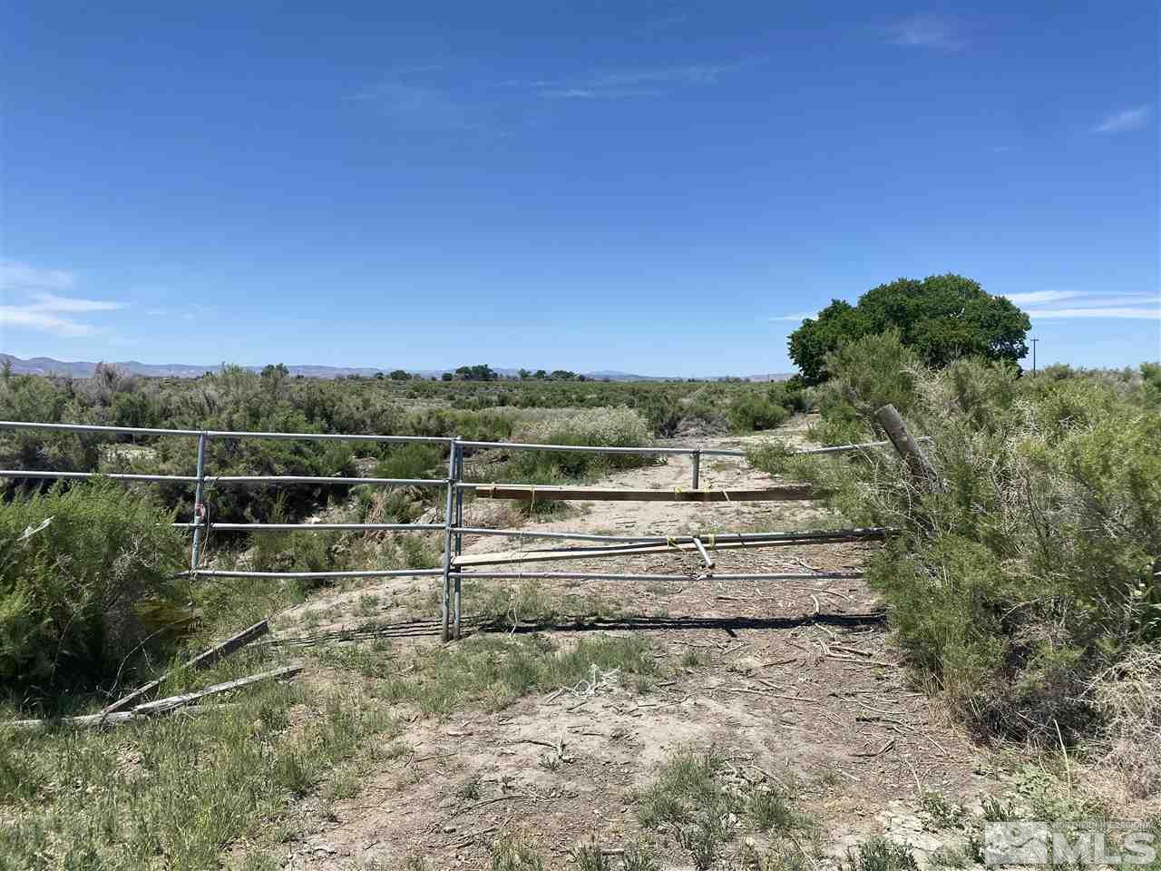 Off Of Depp Road Fallon, NV 89406 - Photo 4 of 4 Photo 4