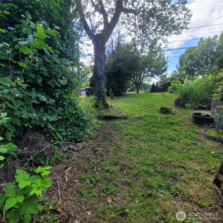 a view of a garden with a tree