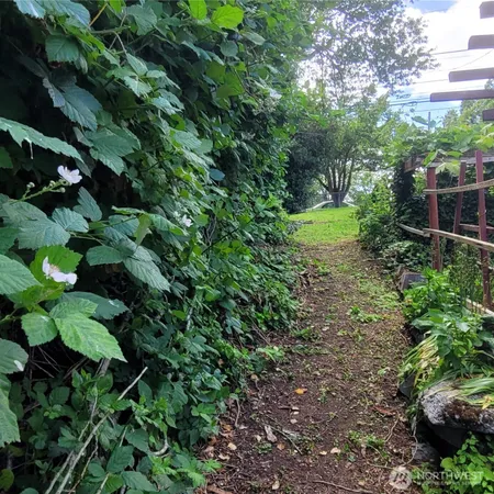 a view of a garden with trees