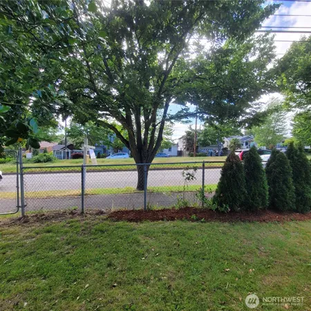 a view of a garden with a tree