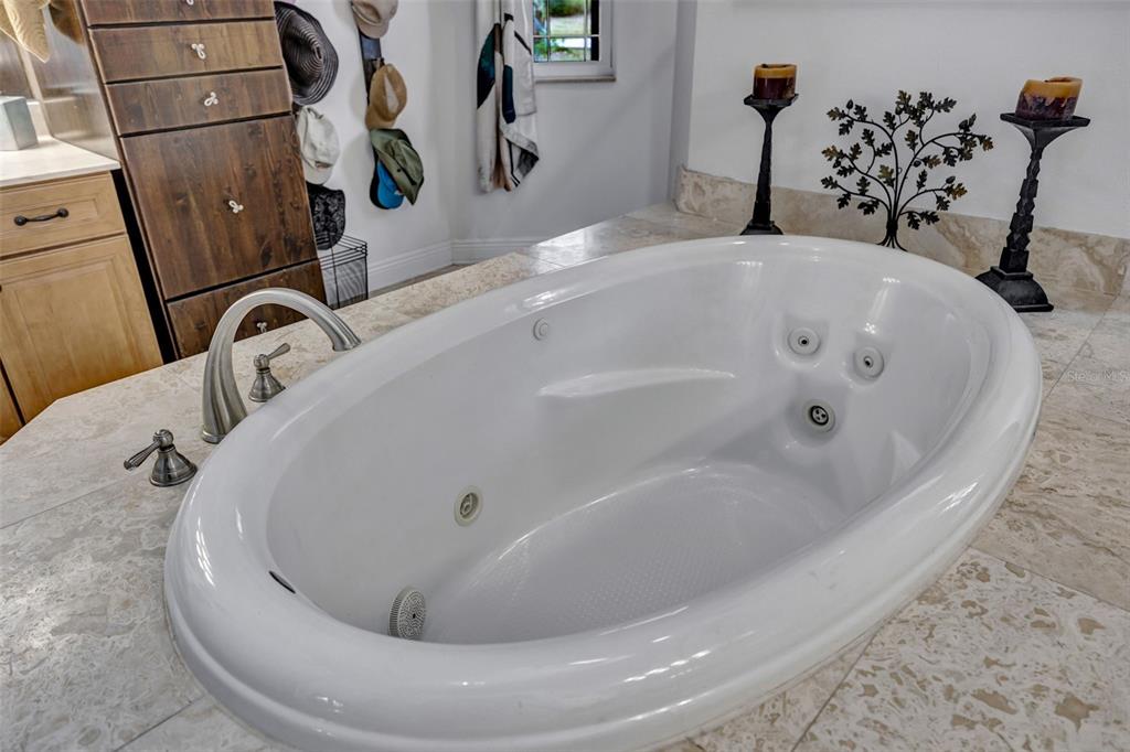 1710 Newberger Road Lutz, FL 33549 - Photo 36 of 99