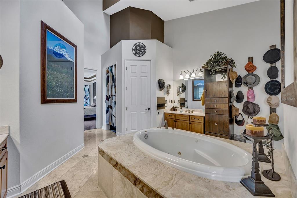 1710 Newberger Road Lutz, FL 33549 - Photo 37 of 99