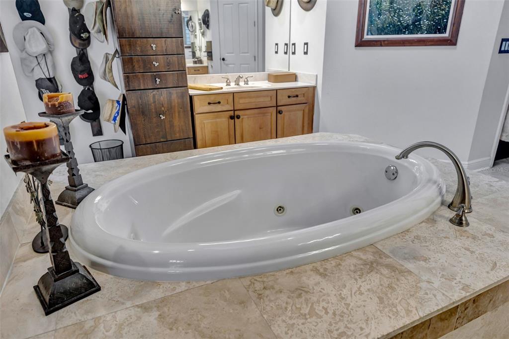 1710 Newberger Road Lutz, FL 33549 - Photo 40 of 99