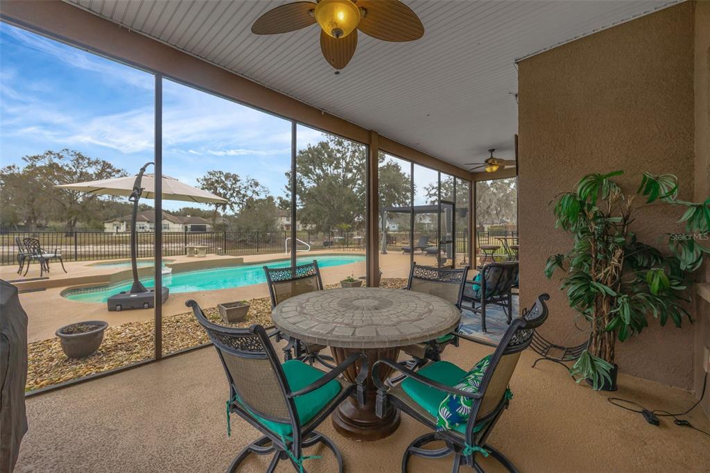 1710 Newberger Road Lutz, FL 33549 - Photo 84 of 99