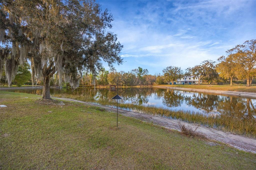 1710 Newberger Road Lutz, FL 33549 - Photo 91 of 99