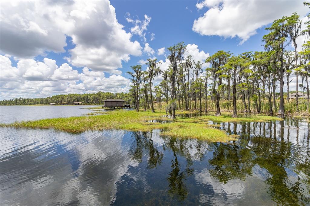 8351 Bowden Way Windermere, FL 34786 - Photo 65 of 71 a view of a lake with houses in the back