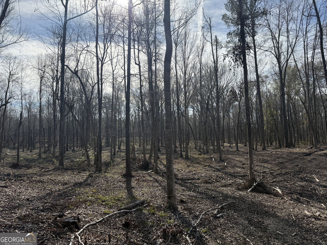 Truslow South Durham Mill Road Jeffersonville, GA 31044 - Photo 11 of 49