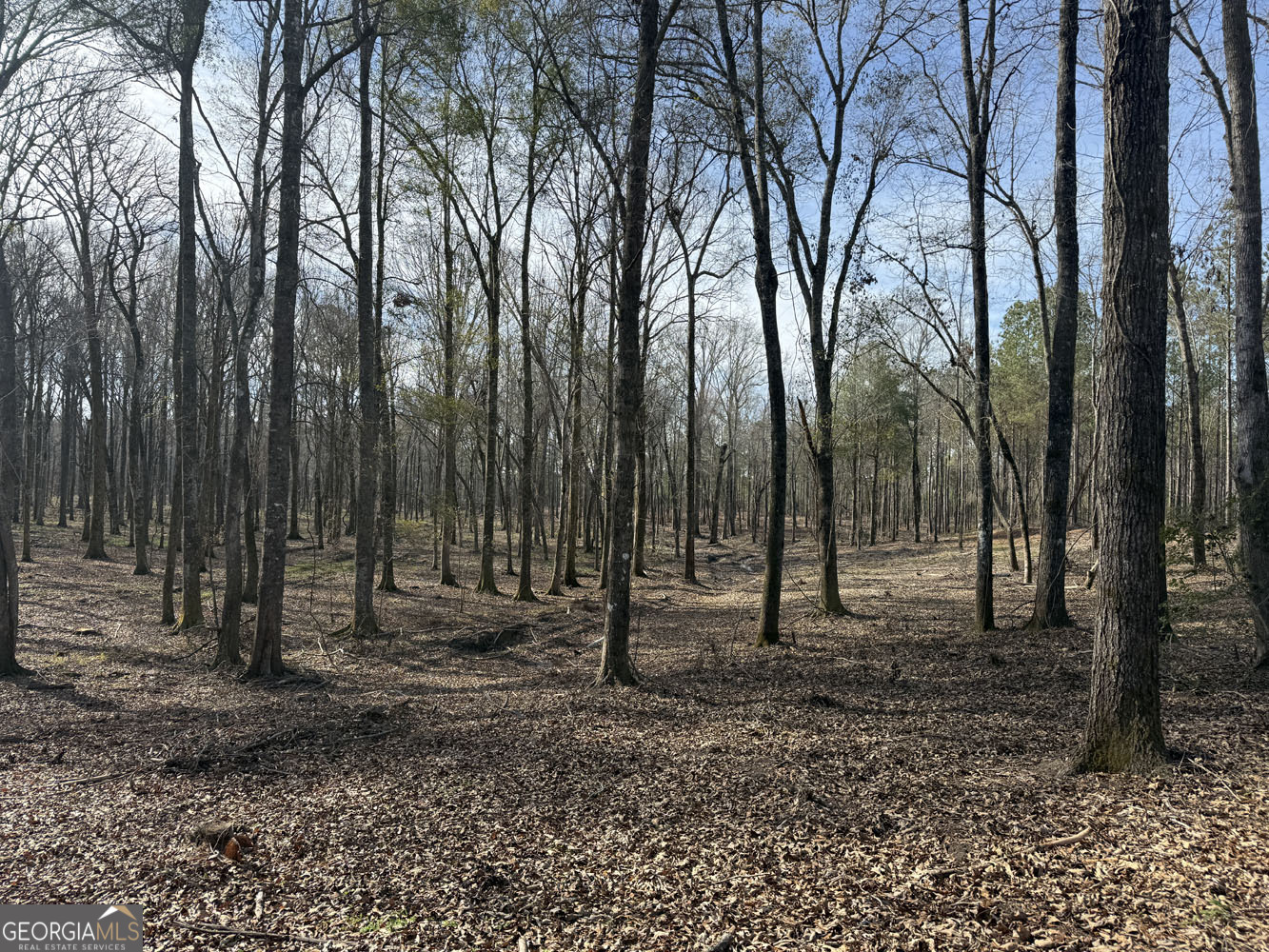 Truslow South Durham Mill Road Jeffersonville, GA 31044 - Photo 13 of 49