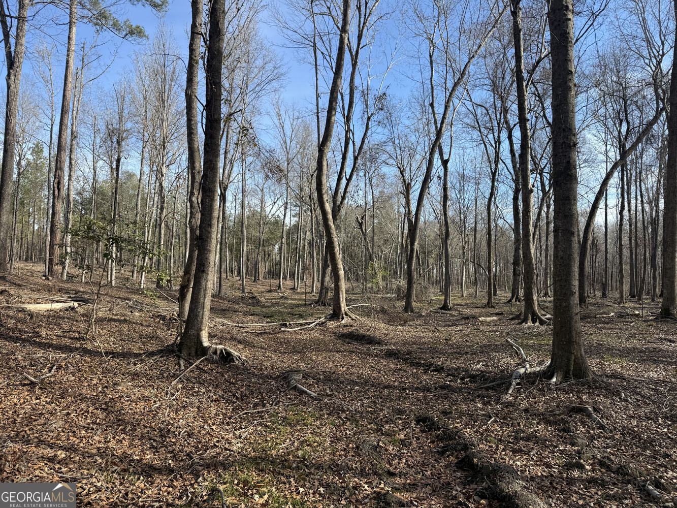 Truslow South Durham Mill Road Jeffersonville, GA 31044 - Photo 14 of 49