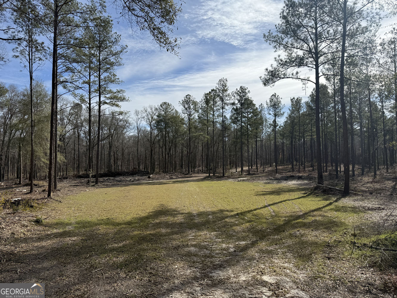 Truslow South Durham Mill Road Jeffersonville, GA 31044 - Photo 15 of 49