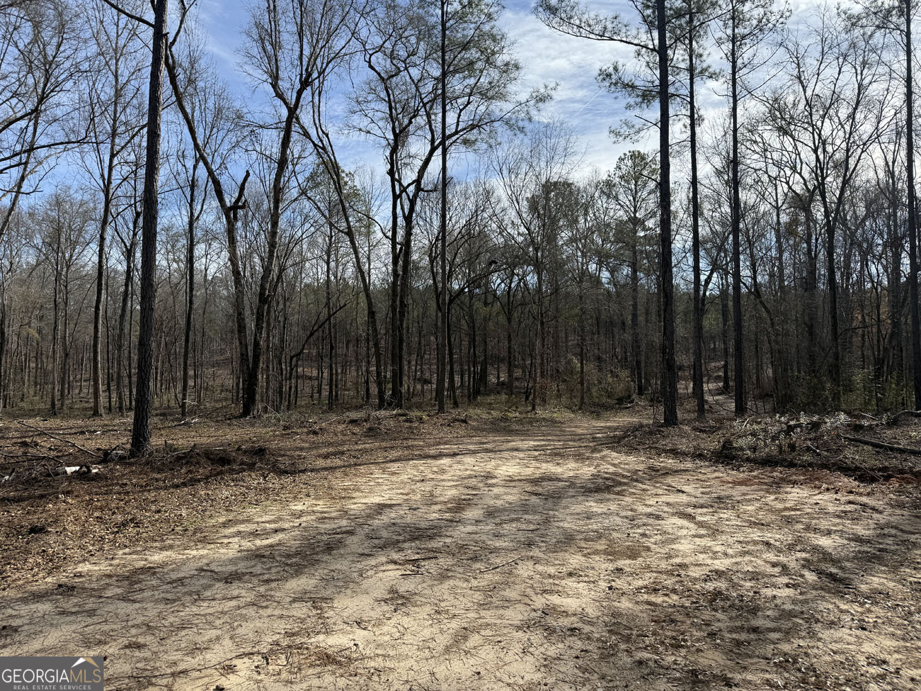 Truslow South Durham Mill Road Jeffersonville, GA 31044 - Photo 16 of 49