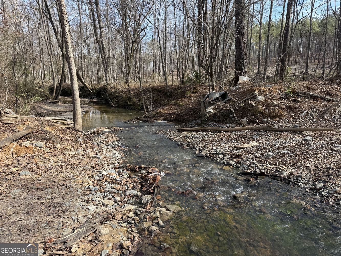 Truslow South Durham Mill Road Jeffersonville, GA 31044 - Photo 18 of 49