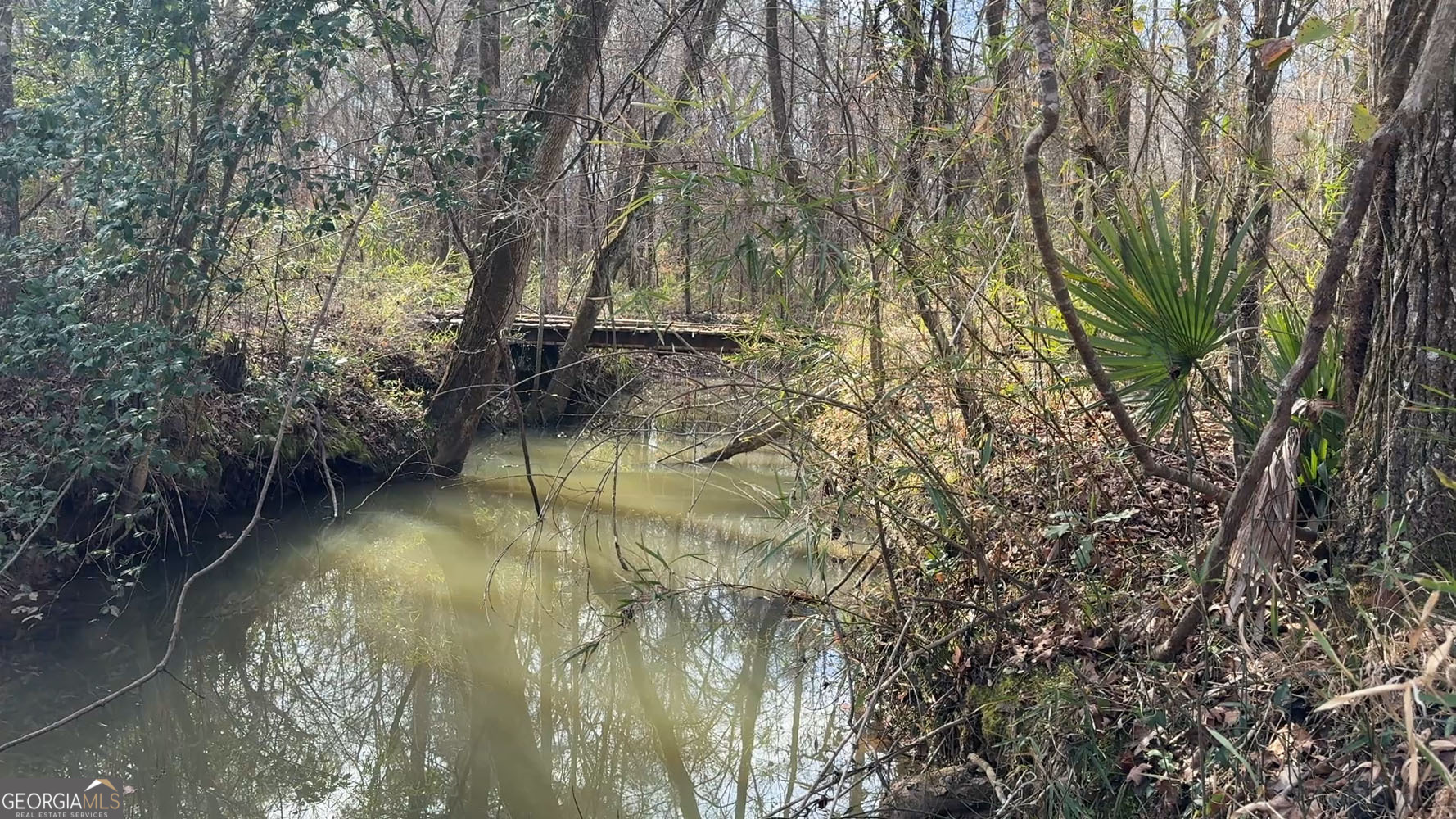 Truslow South Durham Mill Road Jeffersonville, GA 31044 - Photo 19 of 49