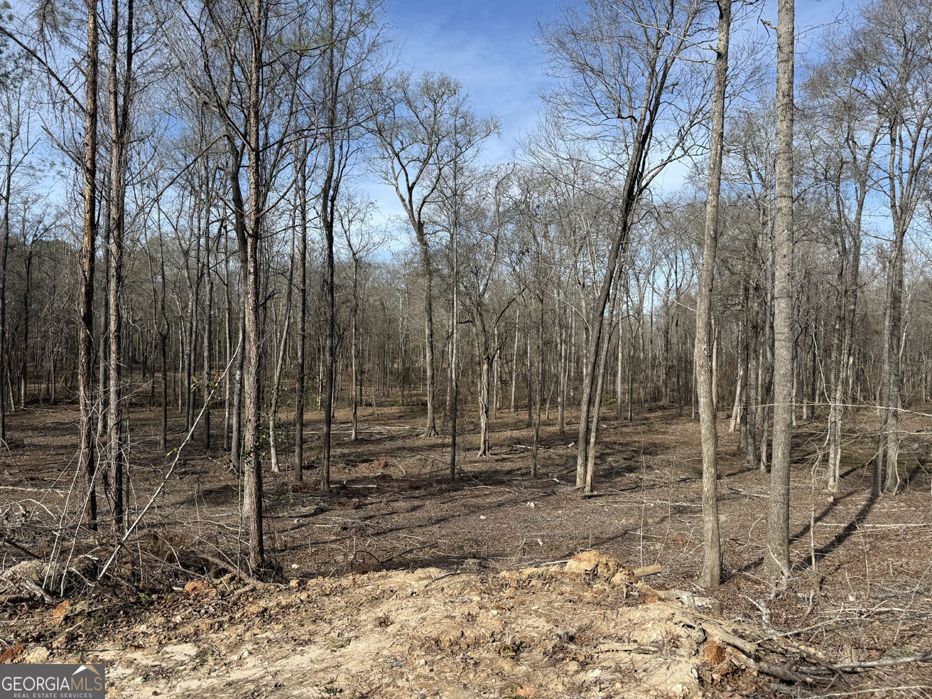 Truslow South Durham Mill Road Jeffersonville, GA 31044 - Photo 20 of 49