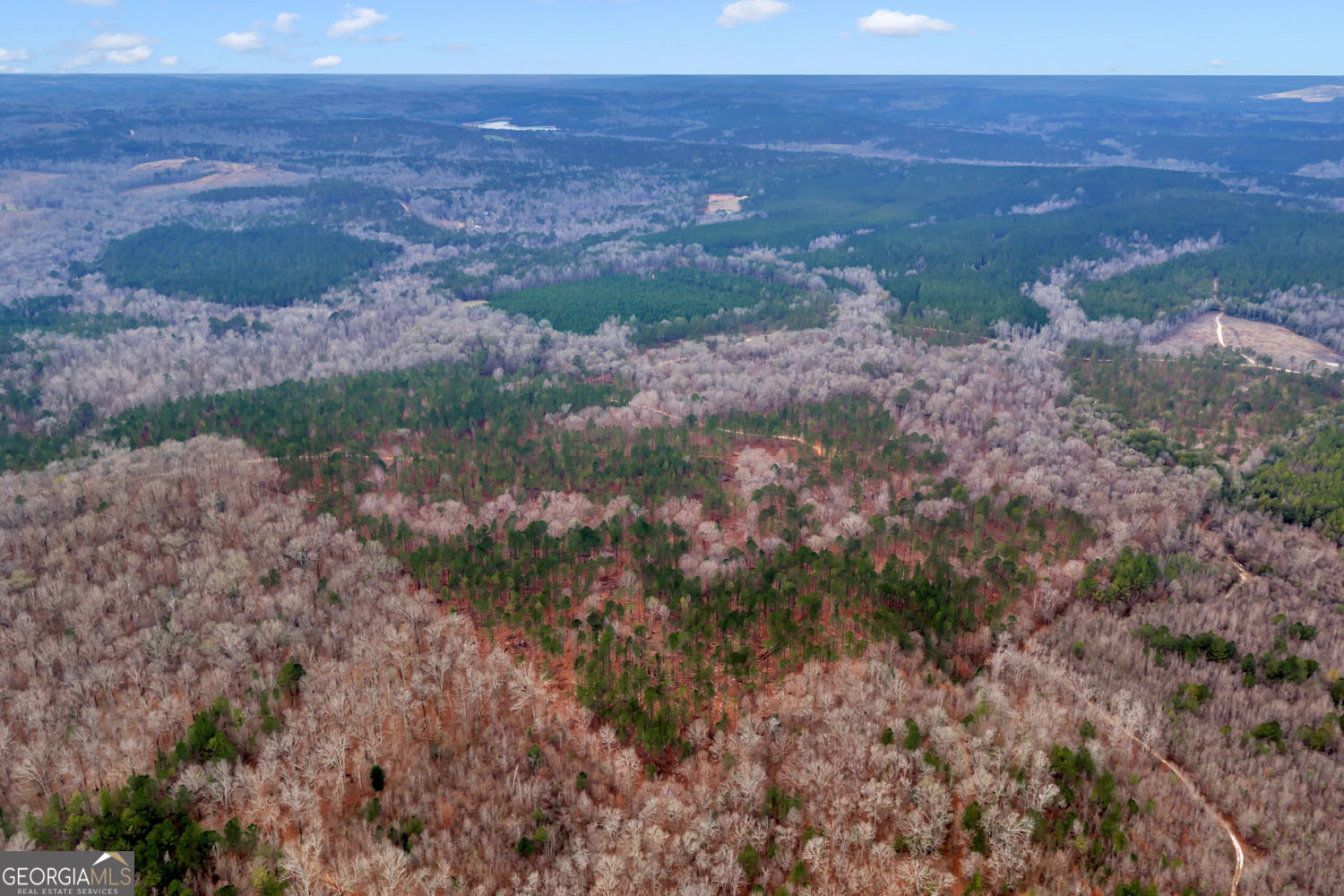 Truslow South Durham Mill Road Jeffersonville, GA 31044 - Photo 2 of 49
