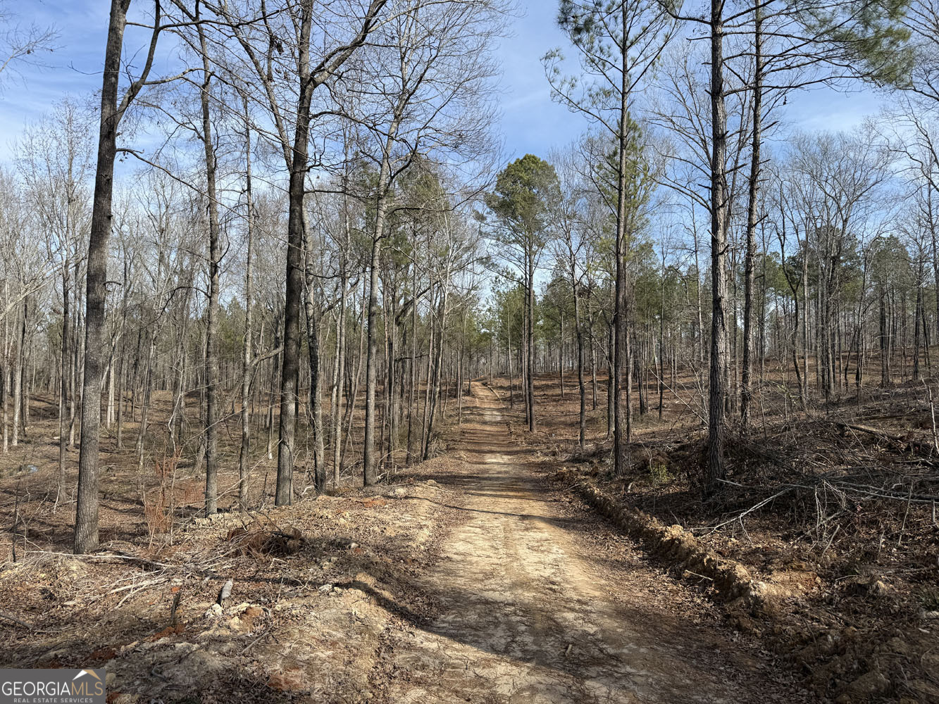 Truslow South Durham Mill Road Jeffersonville, GA 31044 - Photo 21 of 49