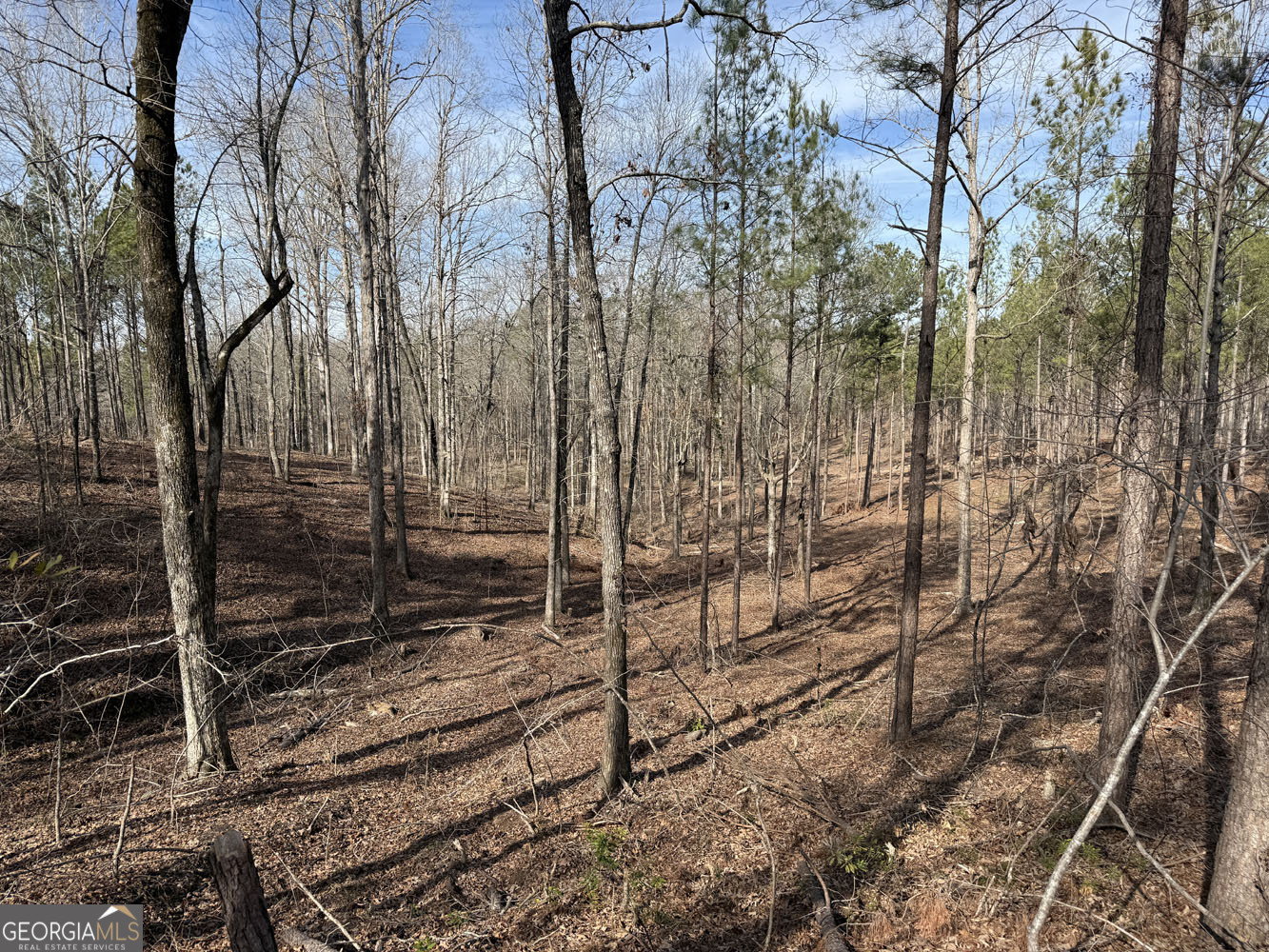 Truslow South Durham Mill Road Jeffersonville, GA 31044 - Photo 23 of 49