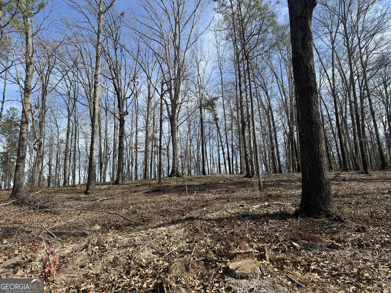 Truslow South Durham Mill Road Jeffersonville, GA 31044 - Photo 24 of 49