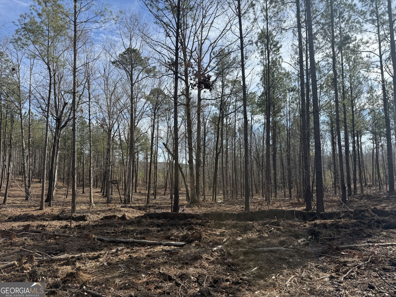 Truslow South Durham Mill Road Jeffersonville, GA 31044 - Photo 25 of 49