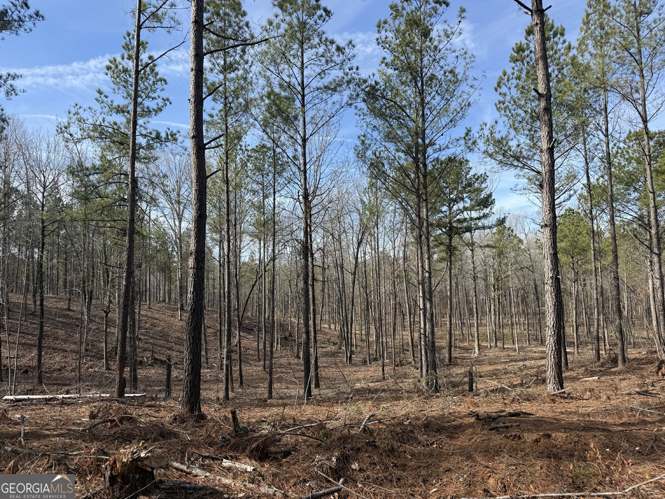 Truslow South Durham Mill Road Jeffersonville, GA 31044 - Photo 26 of 49