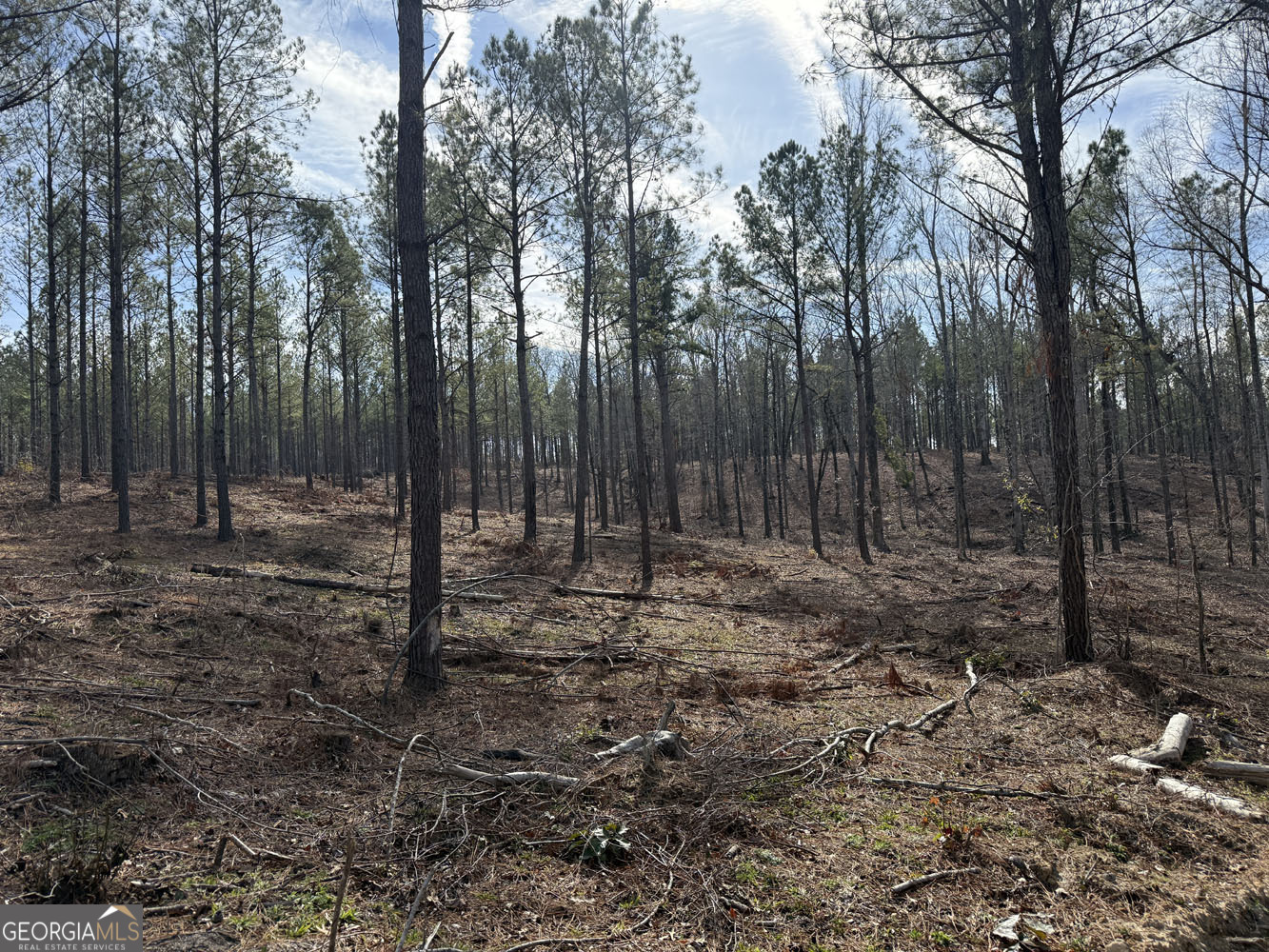 Truslow South Durham Mill Road Jeffersonville, GA 31044 - Photo 27 of 49