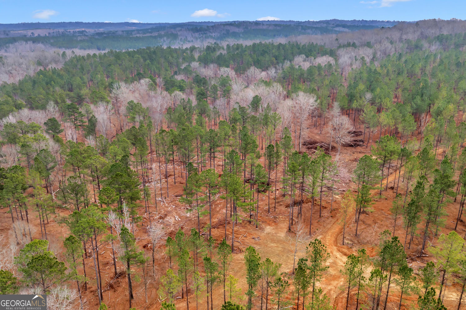 Truslow South Durham Mill Road Jeffersonville, GA 31044 - Photo 28 of 49