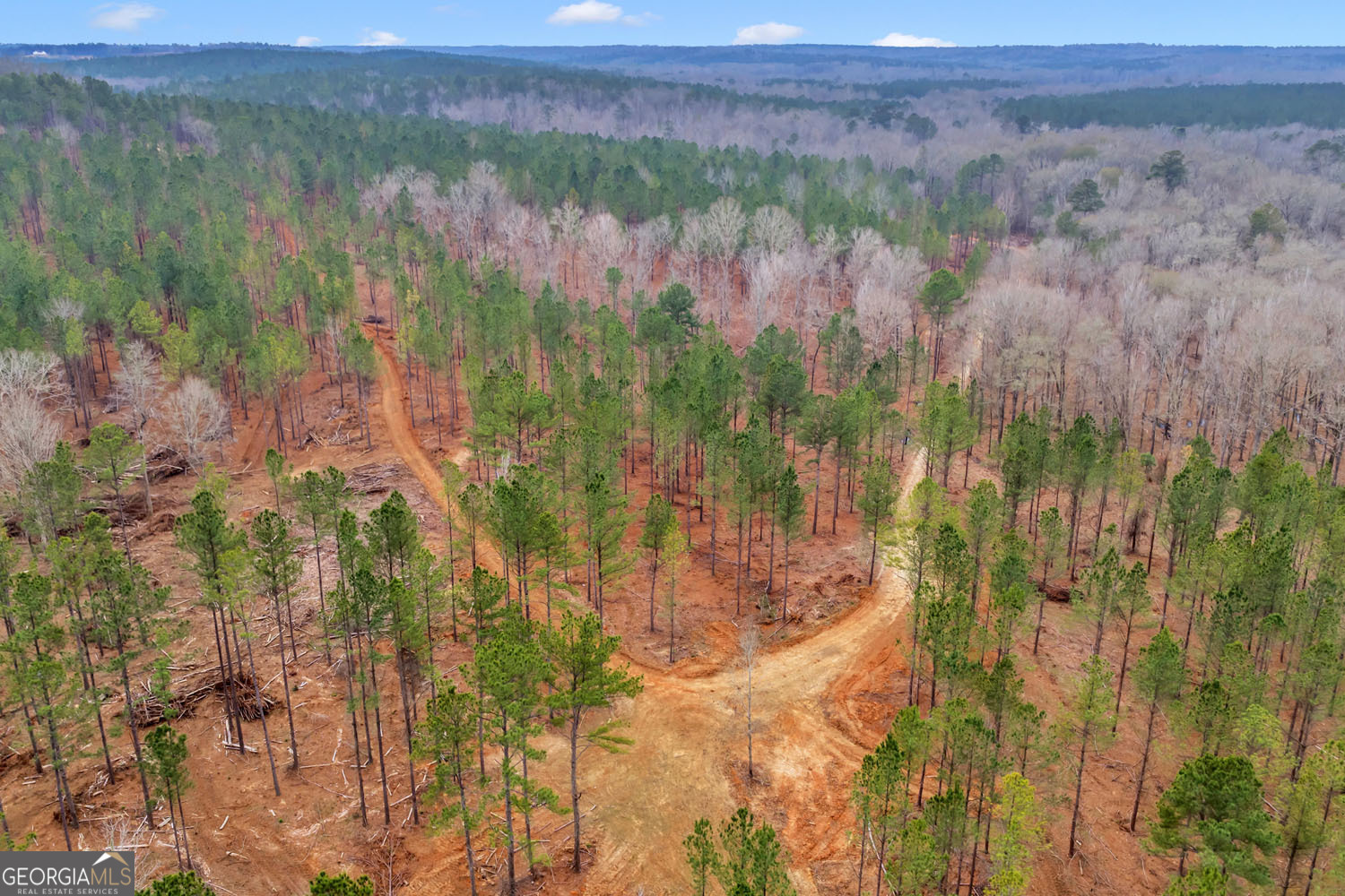 Truslow South Durham Mill Road Jeffersonville, GA 31044 - Photo 29 of 49