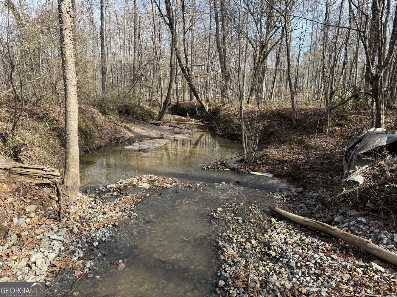 Truslow South Durham Mill Road Jeffersonville, GA 31044 - Photo 3 of 49