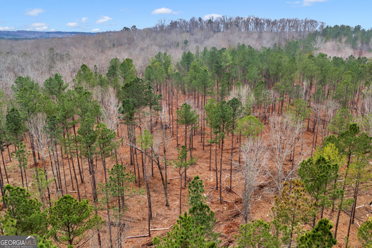 Truslow South Durham Mill Road Jeffersonville, GA 31044 - Photo 31 of 49
