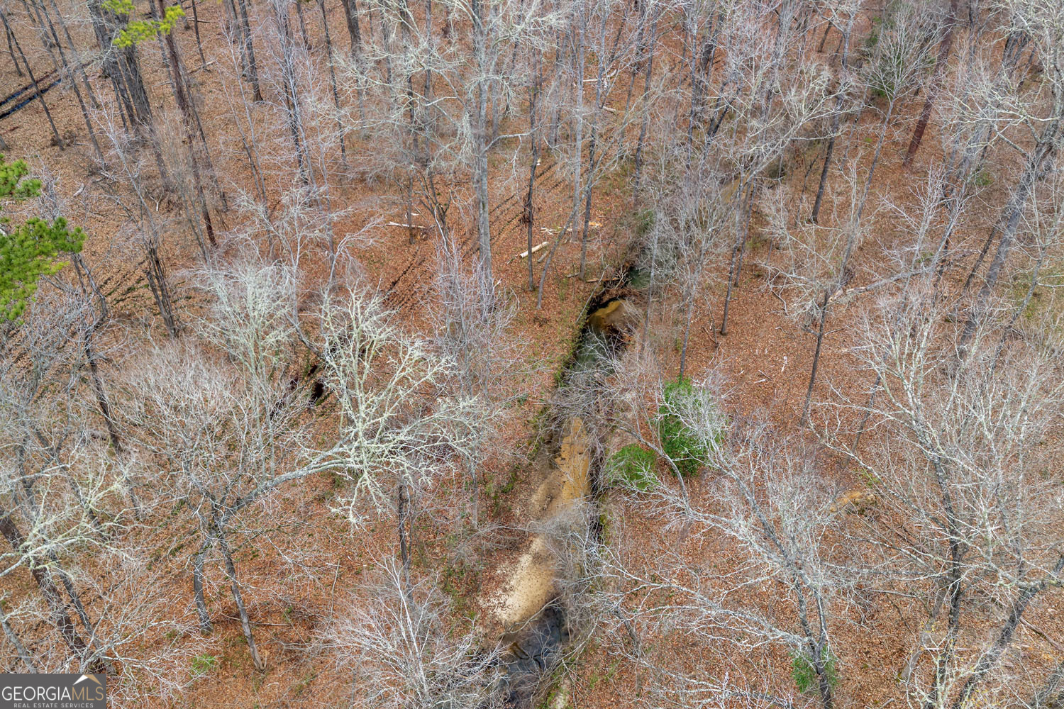 Truslow South Durham Mill Road Jeffersonville, GA 31044 - Photo 34 of 49