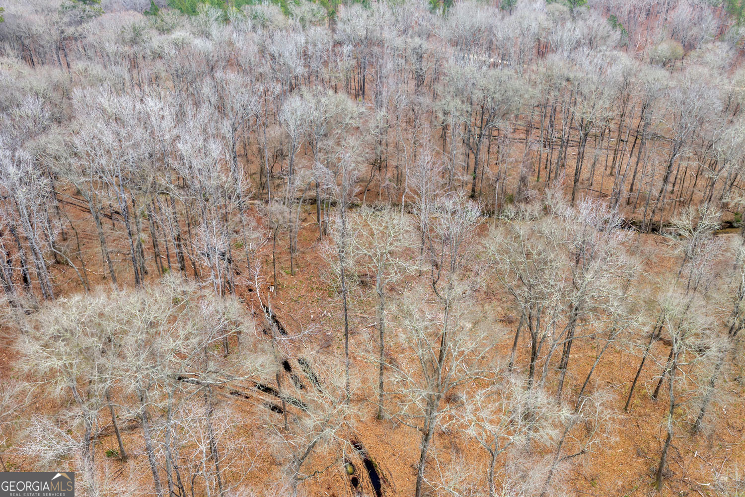 Truslow South Durham Mill Road Jeffersonville, GA 31044 - Photo 35 of 49