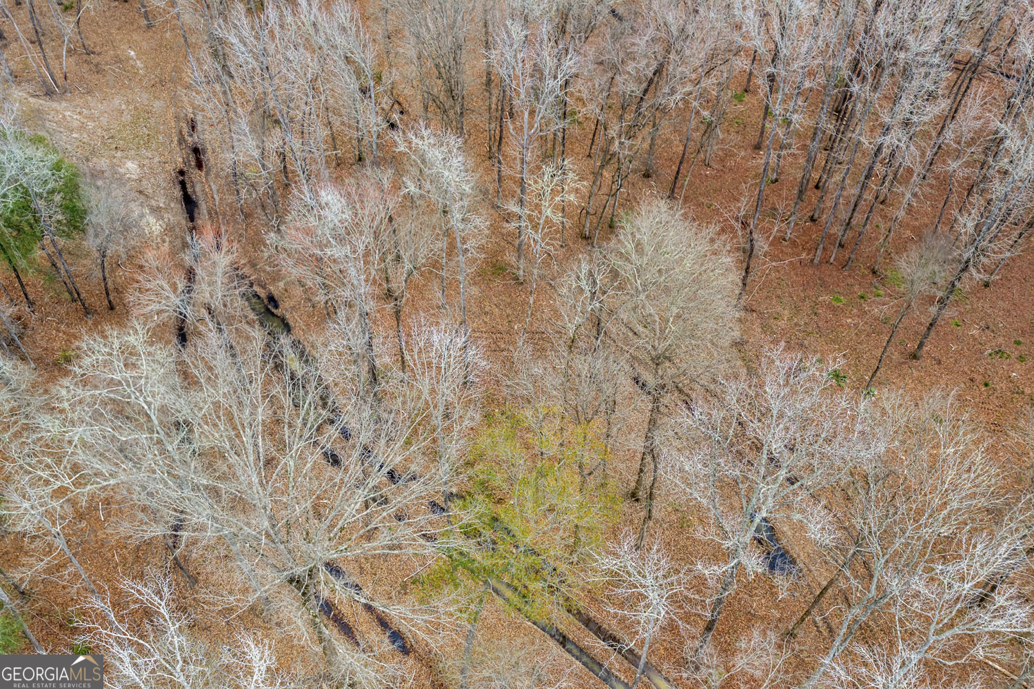 Truslow South Durham Mill Road Jeffersonville, GA 31044 - Photo 36 of 49