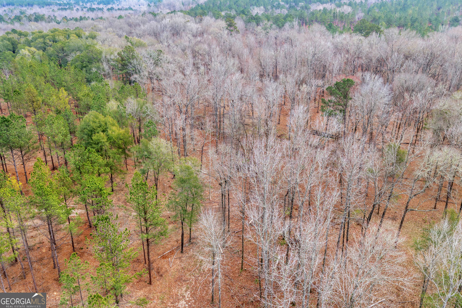 Truslow South Durham Mill Road Jeffersonville, GA 31044 - Photo 38 of 49