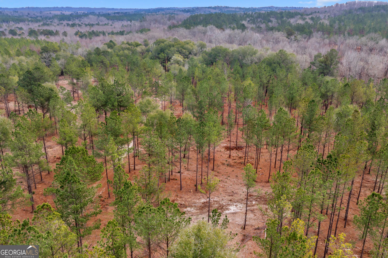 Truslow South Durham Mill Road Jeffersonville, GA 31044 - Photo 39 of 49