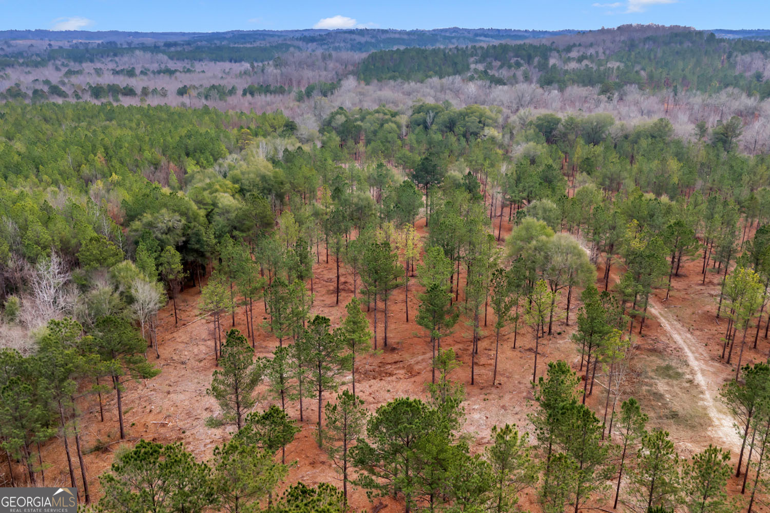 Truslow South Durham Mill Road Jeffersonville, GA 31044 - Photo 40 of 49