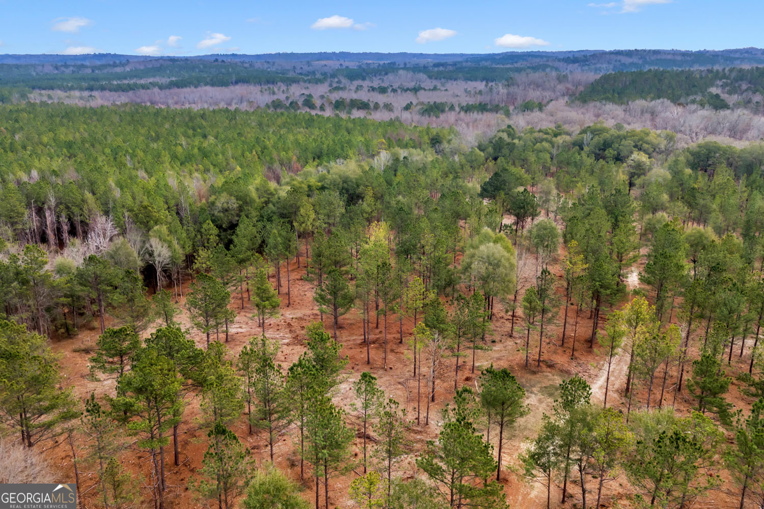 Truslow South Durham Mill Road Jeffersonville, GA 31044 - Photo 41 of 49