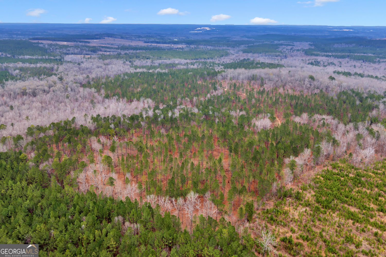 Truslow South Durham Mill Road Jeffersonville, GA 31044 - Photo 42 of 49