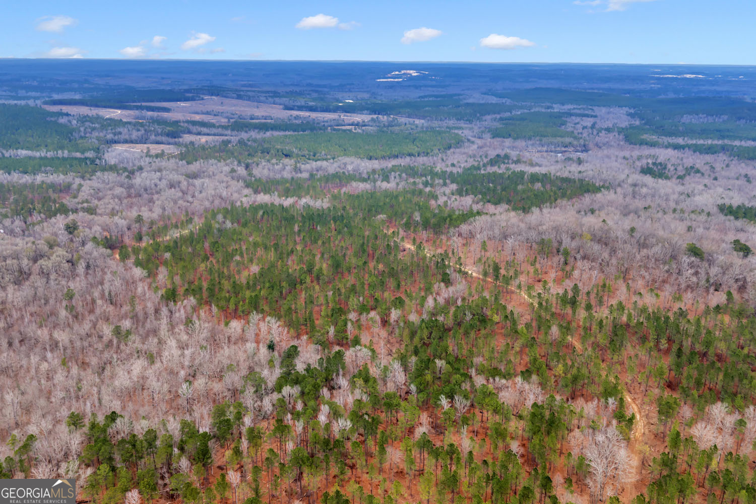 Truslow South Durham Mill Road Jeffersonville, GA 31044 - Photo 43 of 49