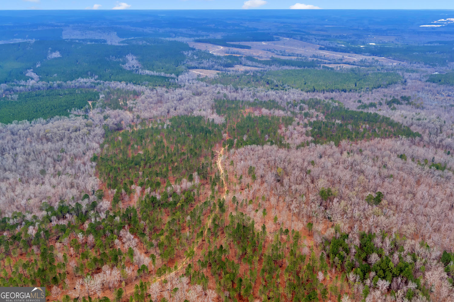 Truslow South Durham Mill Road Jeffersonville, GA 31044 - Photo 44 of 49